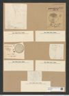 Coscinodiscus glacialis Grun. (de-Toni-Nr.: Genus 202, Species 4944) Zeichnungen Sammlung Grunow Nr. 8535 (NHMW-BOT-W0378165)